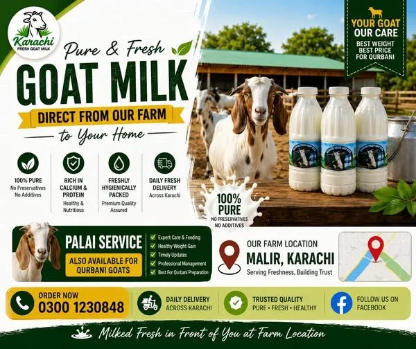 π₯ 100% Pure Fresh Goat Milk β Farm Fresh Delivery in Malir | Karachi Ads - photo 1
