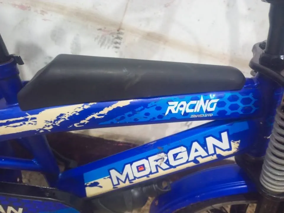 16 size imported bicycle Original Morgan brand - photo 3