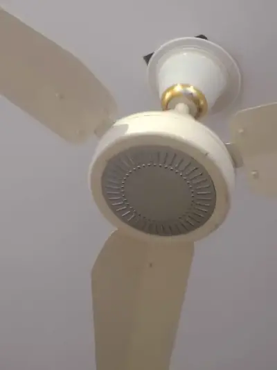 220volt fans for Sale in Gulshan-e-Maymar, Karachi