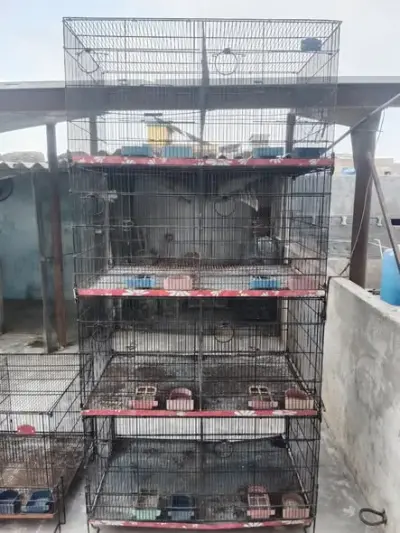 4-Tier Bird Breeding Cage – Strong Iron Cage For Sale in Malir | Karachi Ads