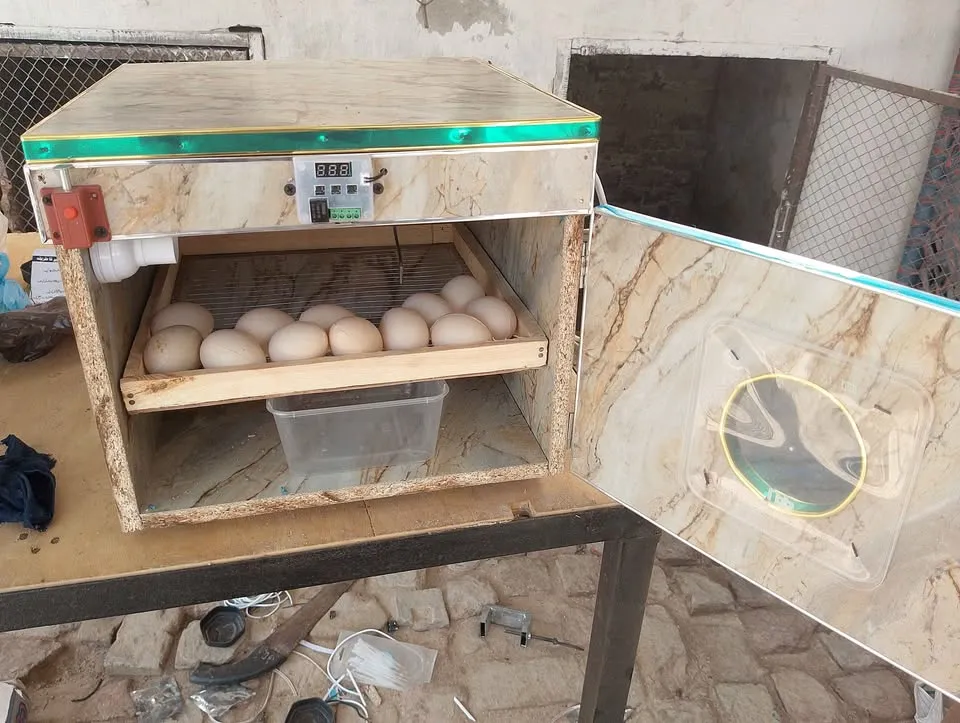50 eggs incubator For Sale in Gulistan-e-Jauhar | Karachi Ads - photo 2