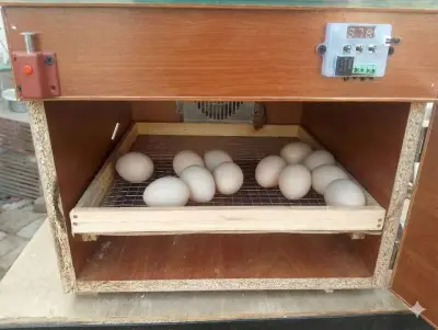 50 eggs incubator For Sale in Gulistan-e-Jauhar | Karachi Ads - photo 3