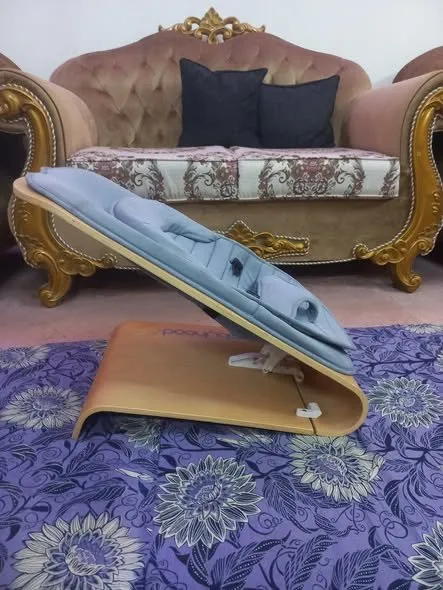 A luxurious Baby pod / Baby bouncer - photo 4