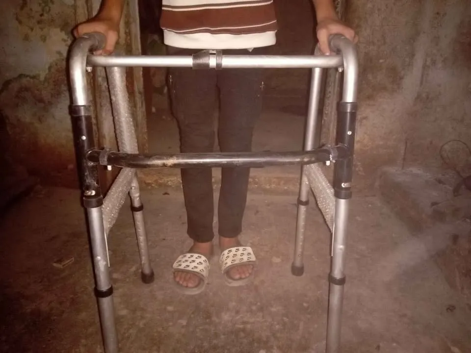 Adult walker - photo 3