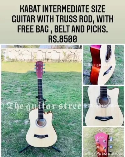 All types of acoustic,semiacoustic, electric guitars,violins, ukuleles and accessories available at wholesale rates. - photo 2