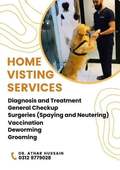 All veterinary services are available at your doorstep in Gulistan-e-Jauhar | Karachi Ads
