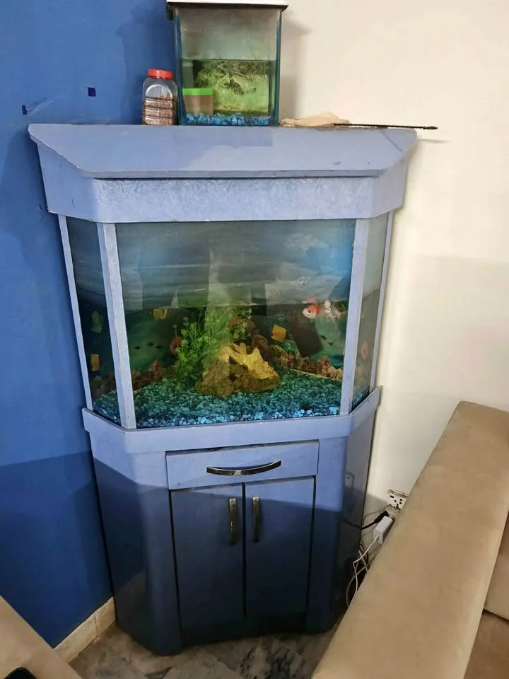 Aquarium For Sale in Gulistan-e-Jauhar | Karachi Ads - photo 1