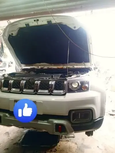 BAIC BJ140 | PROFESSIONAL SERVICE COMPLETED