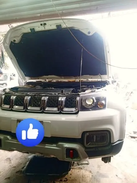 BAIC BJ140 | PROFESSIONAL SERVICE COMPLETED - photo 1