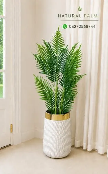 ๐ฟ Beautiful Indoor & Outdoor Plants Available ๐ฟ - photo 3