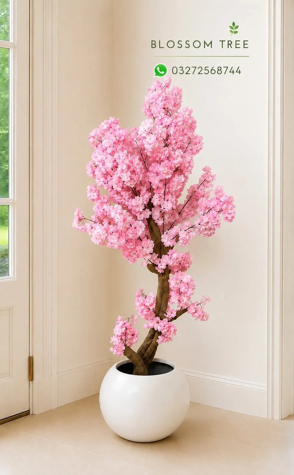 ๐ฟ Beautiful Indoor & Outdoor Plants Available ๐ฟ - photo 4