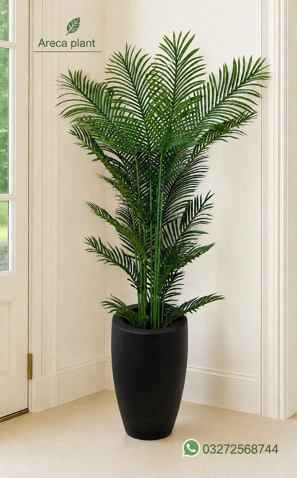 ๐ฟ Beautiful Indoor & Outdoor Plants Available ๐ฟ - photo 5