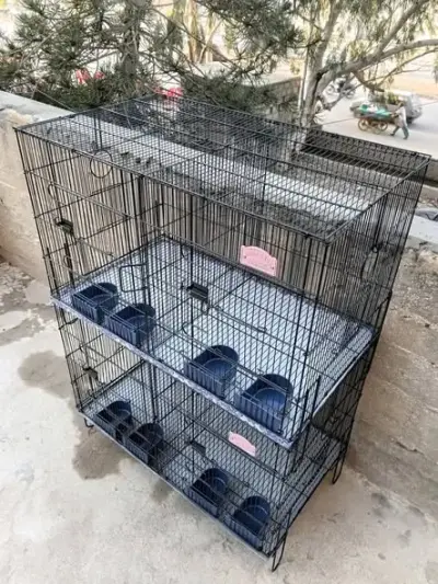 Birds Cage Side Box And Sliding partition Options Available In Cage For Sale in Model Colony | Karachi Ads