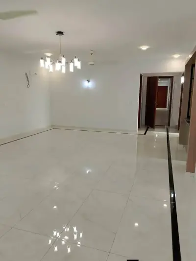 brand new apartment for rent - photo 13