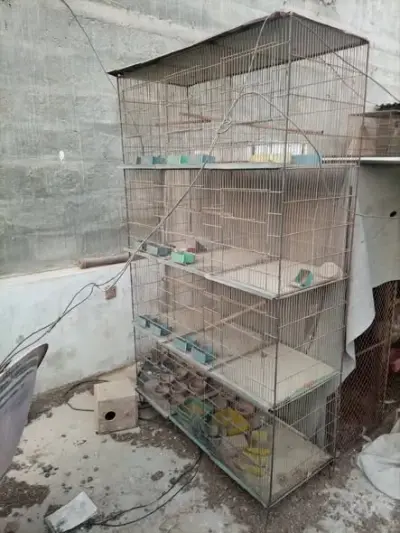 Cages available For Sale in Gulshan-e-Maymar | Karachi Ads