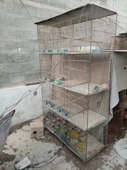 Cages available For Sale in Gulshan-e-Maymar | Karachi Ads - photo 1