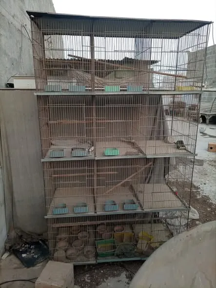 Cages available For Sale in Gulshan-e-Maymar | Karachi Ads - photo 2