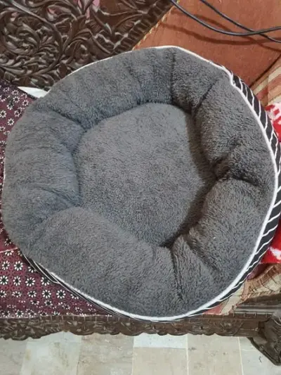 cat used accessories cat house cat beds cat For Sale in North Karachi | Karachi Ads - photo 3