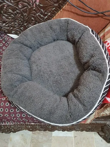 cat used accessories cat house cat beds cat For Sale in North Karachi | Karachi Ads - photo 3
