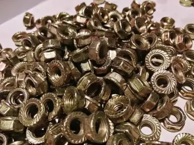 Collar Nuts Local premium Quality  Only for Bulk quantity