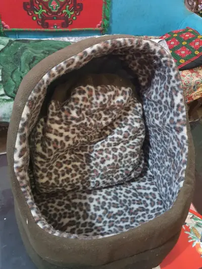 Cozy Pet Bed House with Soft Cushion for Cats & Small Dogs For Sale in Garden | Karachi Ads