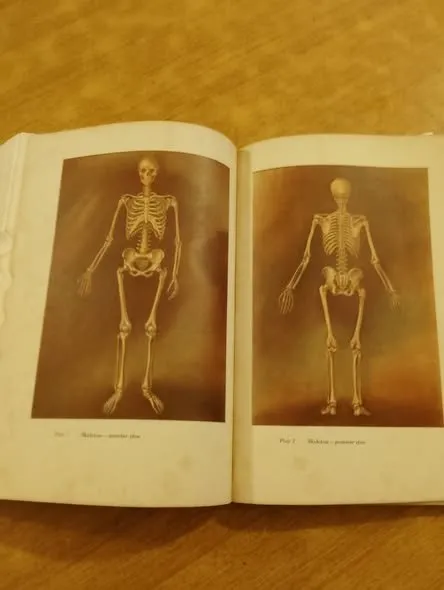 'DE RE MEDICINA' - photo 4