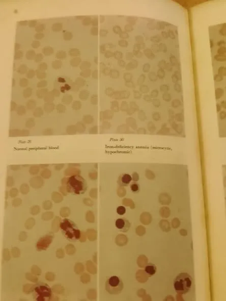 'DE RE MEDICINA' - photo 5