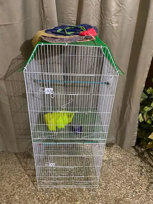 Double portion Cage new For Sale in Buffer Zone | Karachi Ads - photo 1