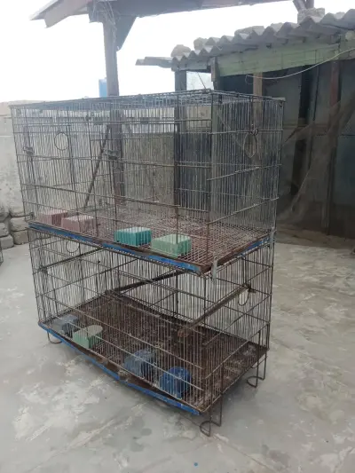 Double Story Bird Breeding Cage – Heavy Duty Iron Cage For Sale in Malir | Karachi Ads