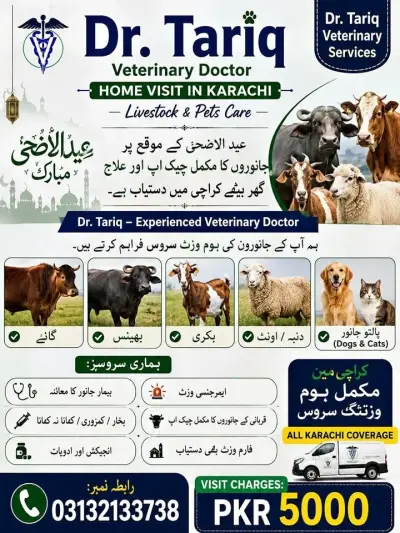 Dr. Tariq – Veterinary Doctor Home Visit 🐐 | Livestock & Pets Care For Sale in Gulistan-e-Jauhar | Karachi Ads