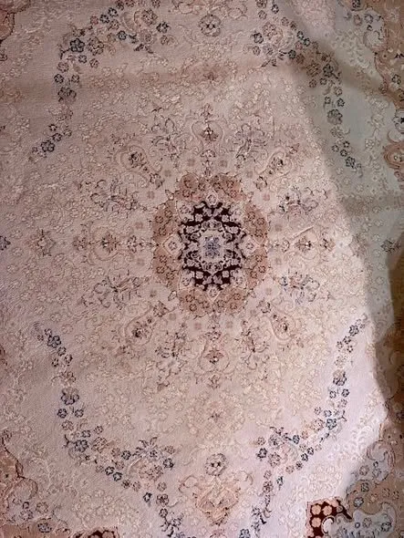 Elegant Persian-Style Medallion Rug – Cream & Burgundy (Excellent Condition - photo 3