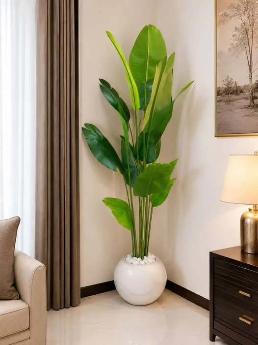 🌿 Elevate Your Space with Timeless Greenery 🌿 - photo 1