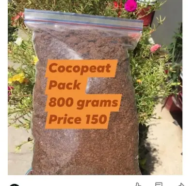 ✴️ Fertilizers available for sale - photo 6
