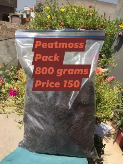 ✴️ Fertilizers available for sale - photo 7