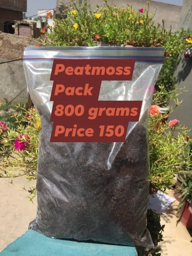 ✴️ Fertilizers available for sale - photo 7
