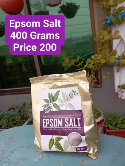 ✴️ Fertilizers available for sale - photo 8