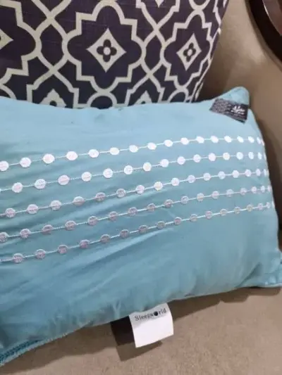 Filled decorative cushion