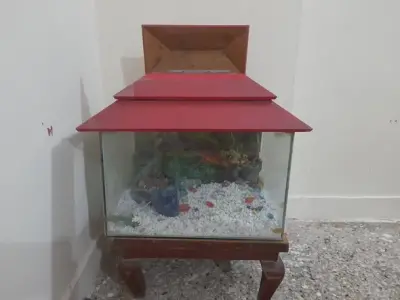 Fish Aquarium 🐠 For Sale in Gulshan-e-Iqbal | Karachi Ads