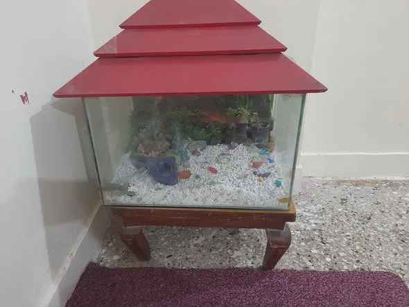 Fish Aquarium 🐠 For Sale in Gulshan-e-Iqbal | Karachi Ads - photo 2