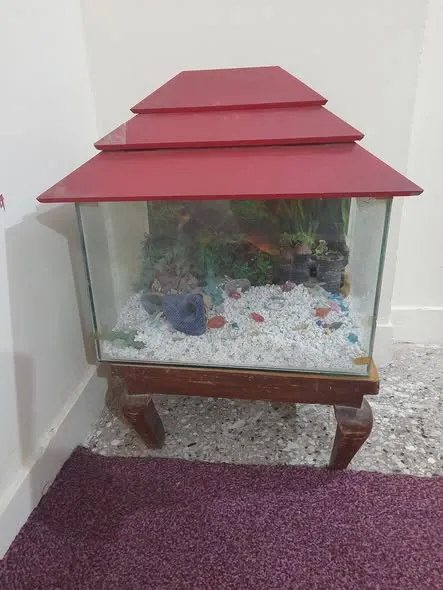 Fish Aquarium 🐠 For Sale in Gulshan-e-Iqbal | Karachi Ads - photo 3