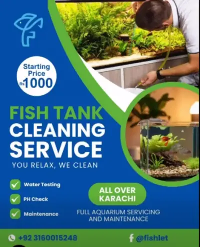 FISH TANK CLEANING SERVICE For Sale in Gulistan-e-Jauhar | Karachi Ads