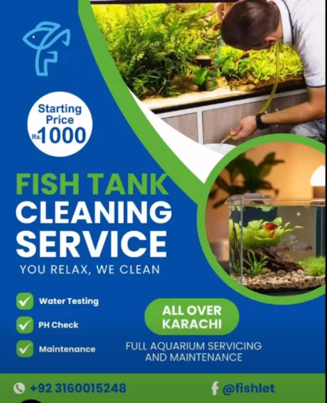 FISH TANK CLEANING SERVICE For Sale in Gulistan-e-Jauhar | Karachi Ads - photo 1