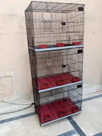 FOLDING CAGE AVAILABLE For Sale in Baldia Town | Karachi Ads