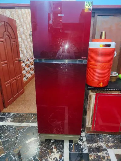 Freezer for sal
