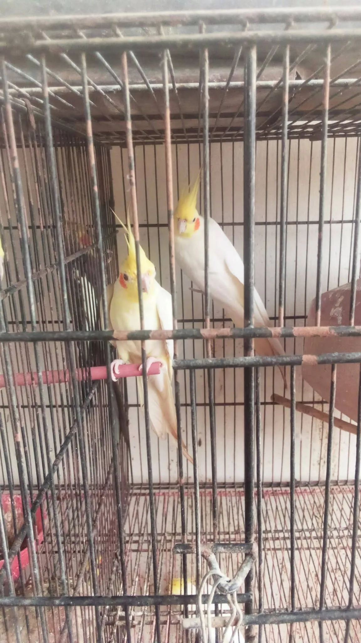 Full set up Mashallah For Sale in Buffer Zone | Karachi Ads - photo 1