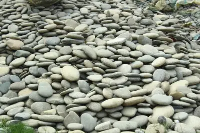Gravel Stones Landscape For Sale in Liaquatabad | Karachi Ads
