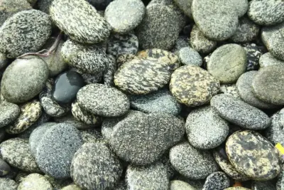 Gravel Stones Landscape For Sale in Liaquatabad | Karachi Ads - photo 2