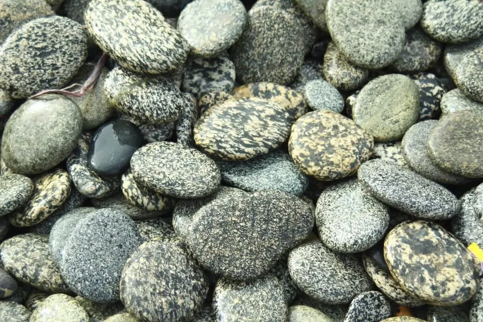 Gravel Stones Landscape For Sale in Liaquatabad | Karachi Ads - photo 2