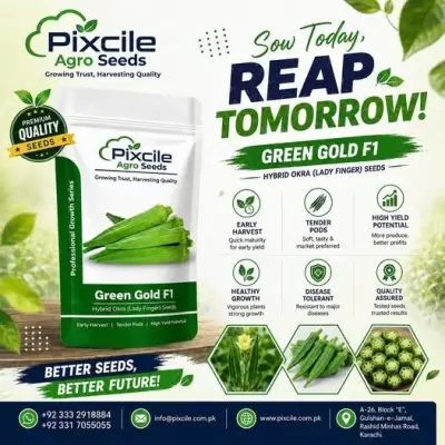 Grow smarter with Pixcile Agro Seeds – Green Gold F1 (Hybrid Okra) 🌿