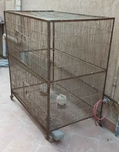Hen Cages for 1 Portions available For Sale in DHA Defence | Karachi Ads